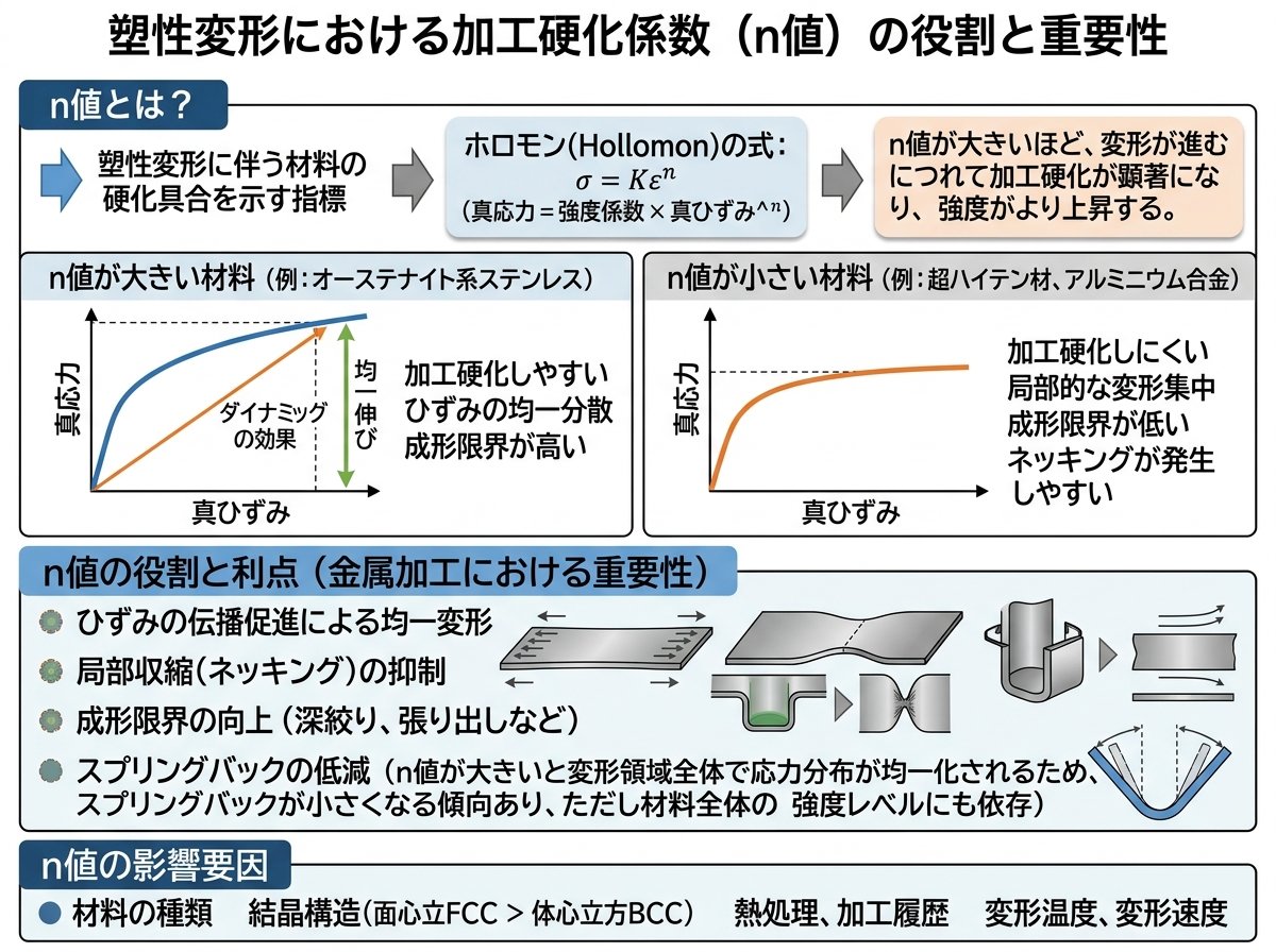 塑性変形における加工硬化係数（n値）の役割と重要性
