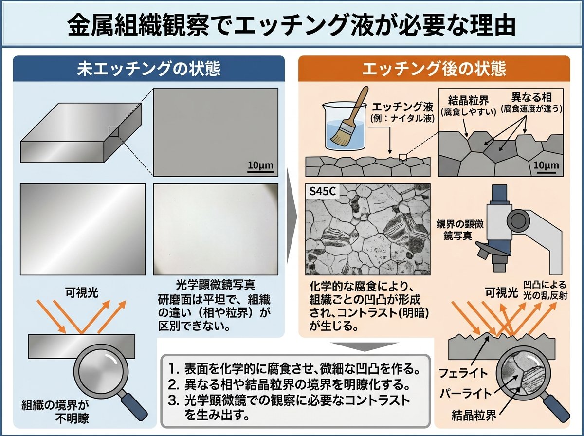 金属組織観察でエッチング液が必要な理由