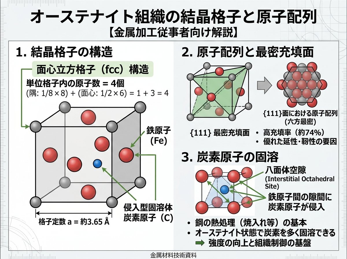 オーステナイト組織の結晶格子と原子配列