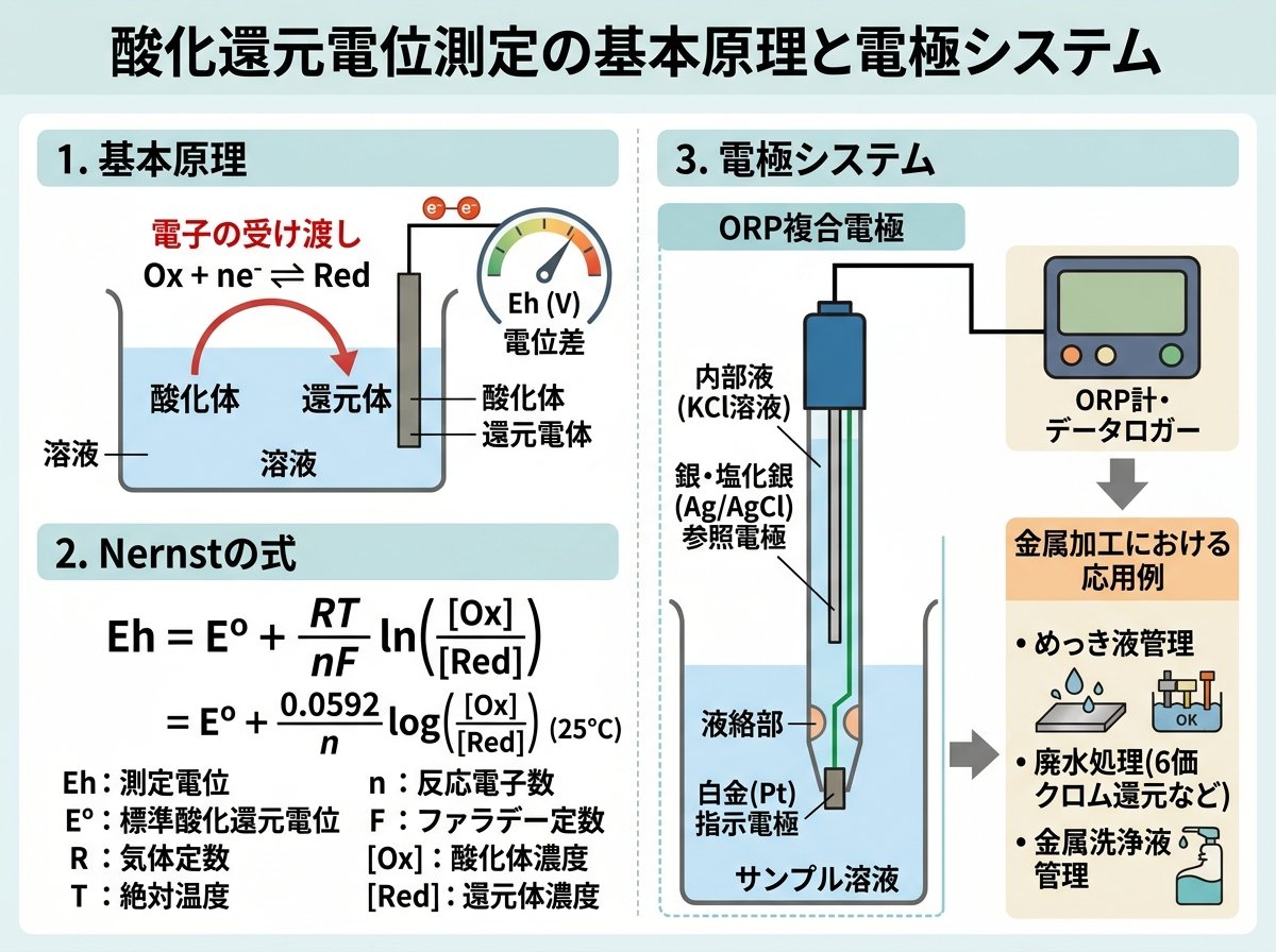 酸化還元電位測定の基本原理と電極システム